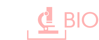 Logo hybridbio